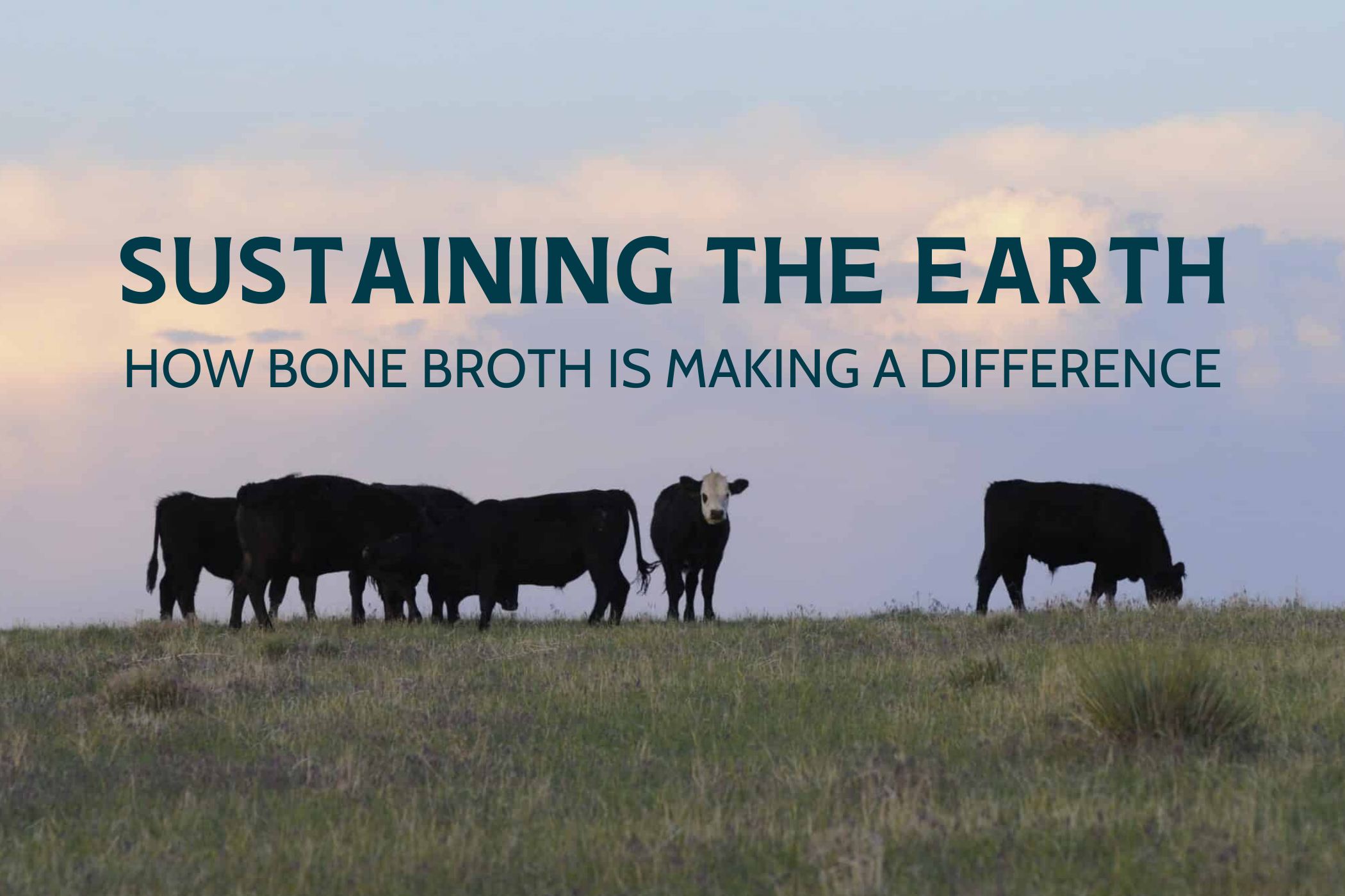 Sustaining The Earth: How Bone Broth Is Making A Difference